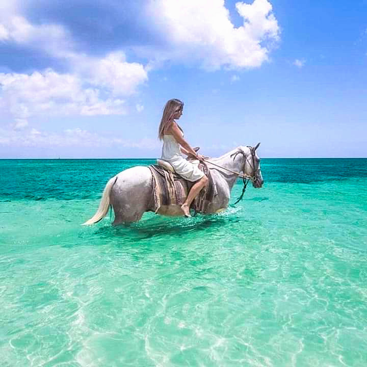 Cozumel Horse Back Riding Tour